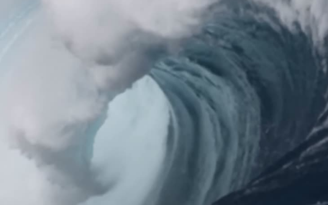 Courtage en crédit professionnel : Courtisia Crédit Pro accélère